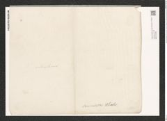 Nitzschia lanceolata W. Sm. (de-Toni-Nr.: Genus 47, Species 2117) Zeichnungen Sammlung Grunow (NHMW-BOT-W0372208)